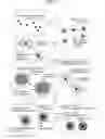 Fig. 07 - METHOD OF MANUFACTURING POLYMER COATED FERROMAGNETIC PARTICLES
