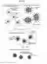 Fig. 08 - METHOD OF MANUFACTURING POLYMER COATED FERROMAGNETIC PARTICLES