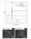 Fig. 02 - Carbon nanomaterial-containing resin composition and molded plastic product