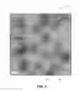 Fig. 09 - Alloyed rod structure in a nanocrystalline quantum dot