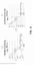 Fig. 16 - Alloyed rod structure in a nanocrystalline quantum dot