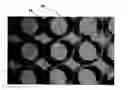 Fig. 01 - Multiwell plate