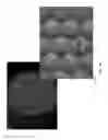 Fig. 07 - Multiwell plate