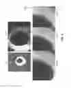 Fig. 07 - Conical devices for three-dimensional aggregate(s) of eukaryotic cells