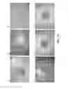Fig. 14 - Conical devices for three-dimensional aggregate(s) of eukaryotic cells