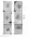 Fig. 15 - Conical devices for three-dimensional aggregate(s) of eukaryotic cells