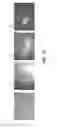 Fig. 19 - Conical devices for three-dimensional aggregate(s) of eukaryotic cells