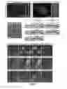 Fig. 02 - Methods for Generating Inner Ear Cells in Vitro