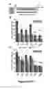 Fig. 06 - Methods for Generating Inner Ear Cells in Vitro