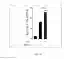 Fig. 110 - Compositions and methods for modulating an immune response