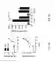 Fig. 28 - Compositions and methods for modulating an immune response