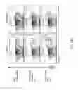 Fig. 58 - Compositions and methods for modulating an immune response