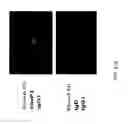 Fig. 77 - Compositions and methods for modulating an immune response