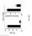 Fig. 87 - Compositions and methods for modulating an immune response