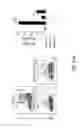Fig. 97 - Compositions and methods for modulating an immune response