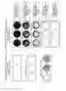 Fig. 02 - Differentiation-inducing culture medium additive and use thereof
