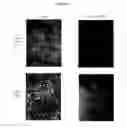 Fig. 04 - Compositions and methods for obtaining enriched mesenchymal stem cell cultures