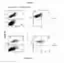 Fig. 10 - Compositions and methods for obtaining enriched mesenchymal stem cell cultures