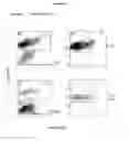 Fig. 11 - Compositions and methods for obtaining enriched mesenchymal stem cell cultures