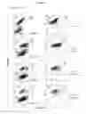 Fig. 13 - Compositions and methods for obtaining enriched mesenchymal stem cell cultures