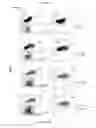 Fig. 14 - Compositions and methods for obtaining enriched mesenchymal stem cell cultures