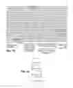 Fig. 15 - CHIMERIC PESTIVIRUS WITH INSERTION IN 3' NONTRANSLATED REGION (3' NTR) WITH STABLE REPLICATION AND RNASE RESISTANCE