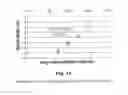 Fig. 26 - CHIMERIC PESTIVIRUS WITH INSERTION IN 3' NONTRANSLATED REGION (3' NTR) WITH STABLE REPLICATION AND RNASE RESISTANCE