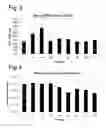 Fig. 03 - AAV vectors produced by insect cells comprising REP52 and REP78 coding sequences with differential codon biases