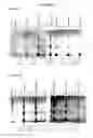 Fig. 22 - Methods for Purifying Pertussis Toxin and Peptides Useful Therefor