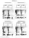 Fig. 23 - Methods for Purifying Pertussis Toxin and Peptides Useful Therefor