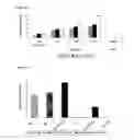 Fig. 15 - HIV-1 integrase derived peptides and compositions