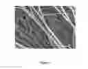 Fig. 03 - ENCAPSULATION OF BACTERIA AND VIRUSES IN ELECTROSPUN FIBERS