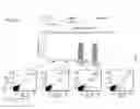Fig. 19 - RNA-guided human genome engineering