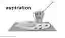 Fig. 01 - Nanopipette device and method for subcellular analysis
