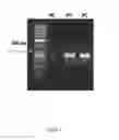 Fig. 06 - Nanopipette device and method for subcellular analysis