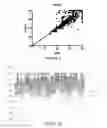 Fig. 04 - Isolating circulating microRNA (miRNA)
