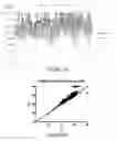 Fig. 05 - Isolating circulating microRNA (miRNA)