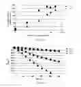 Fig. 10 - Polypeptide display libraries and methods of making and using thereof