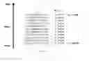 Fig. 16 - Polypeptide display libraries and methods of making and using thereof