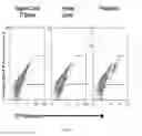 Fig. 17 - Polypeptide display libraries and methods of making and using thereof