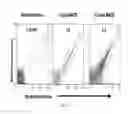 Fig. 19 - Polypeptide display libraries and methods of making and using thereof