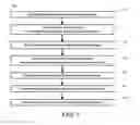 Fig. 02 - FUNCTIONALIZED GRIDS FOR LOCATING AND IMAGING BIOLOGICAL SPECIMENS AND METHODS OF USING THE SAME