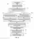 Fig. 05 - FUNCTIONALIZED GRIDS FOR LOCATING AND IMAGING BIOLOGICAL SPECIMENS AND METHODS OF USING THE SAME