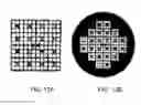 Fig. 14 - FUNCTIONALIZED GRIDS FOR LOCATING AND IMAGING BIOLOGICAL SPECIMENS AND METHODS OF USING THE SAME