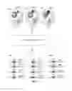 Fig. 19 - Single cell bar-coding for antibody discovery