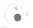 Fig. 38 - Single cell bar-coding for antibody discovery
