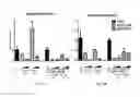 Fig. 04 - Inhibitors of MYH7B and uses thereof