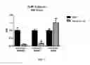 Fig. 08 - Inhibitors of MYH7B and uses thereof