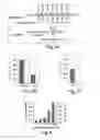 Fig. 03 - RNA sequence-specific mediators of RNA interference