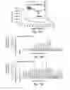 Fig. 10 - RNA sequence-specific mediators of RNA interference